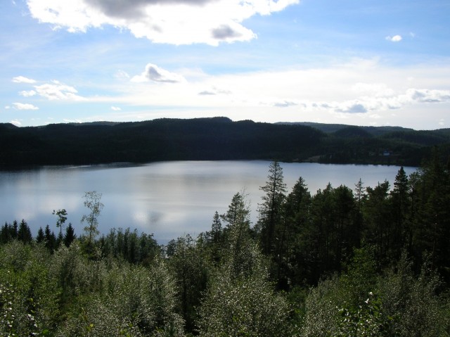 jonsvanet_09.jpg