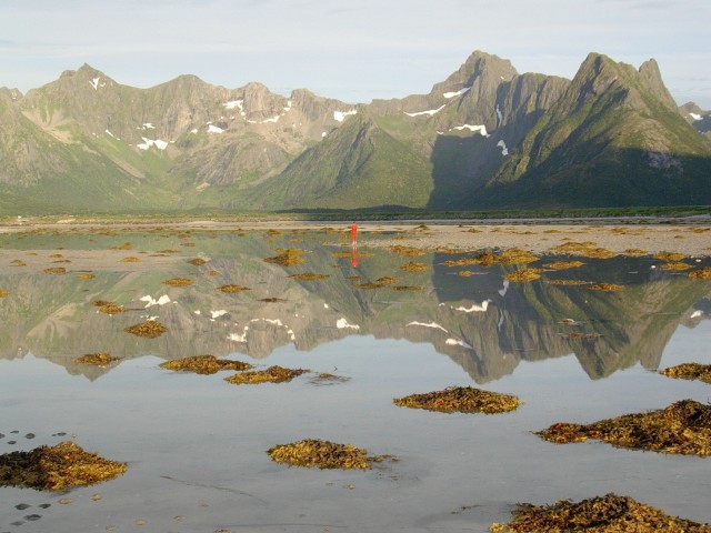 lofoten_058.jpg