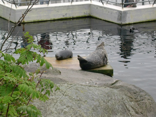 lofoten_068.jpg