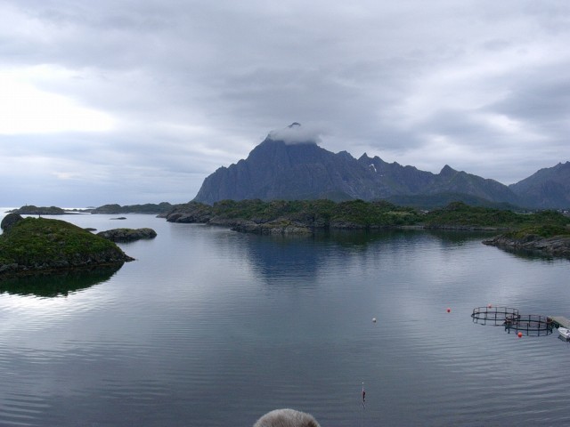 lofoten_071.jpg