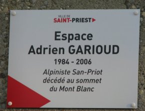 plaque